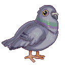 Pixel Art Pigeon